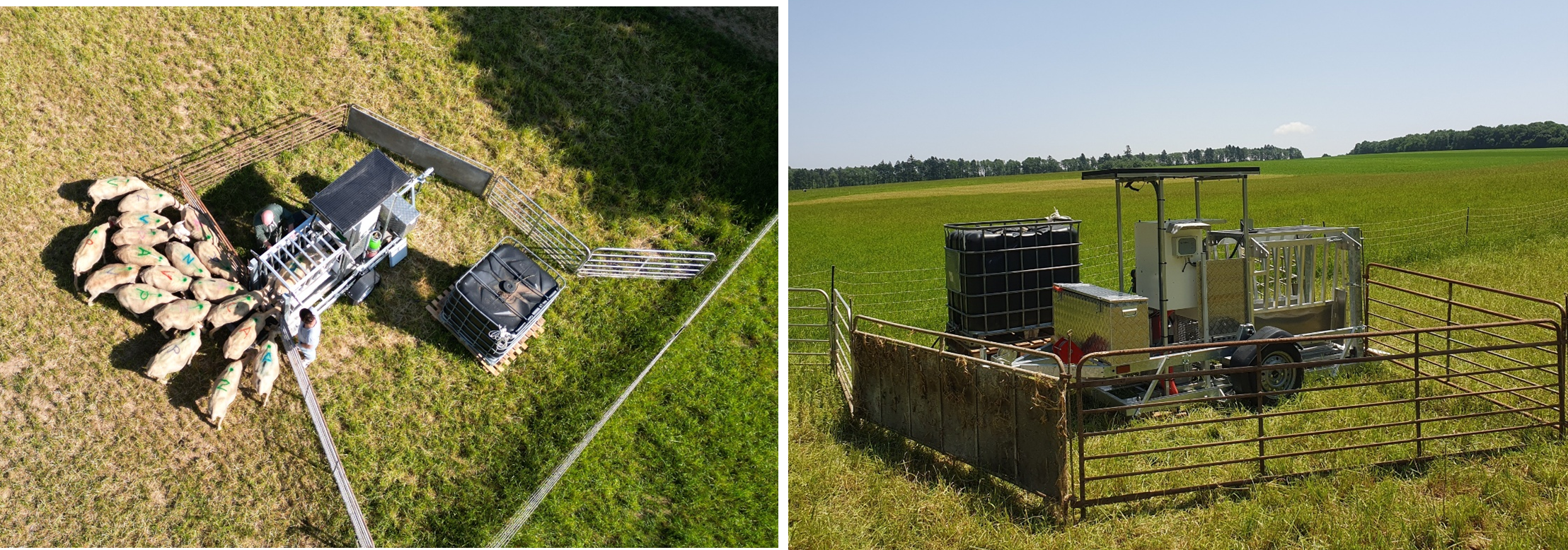 Distributeur automatique d’eau adapté au pâturage.